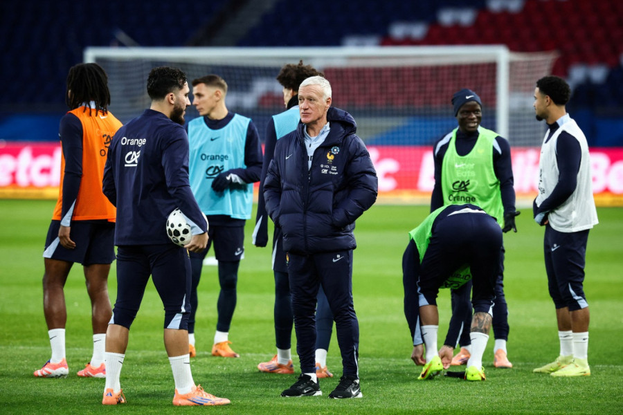 Anelka: Zidana za selektora