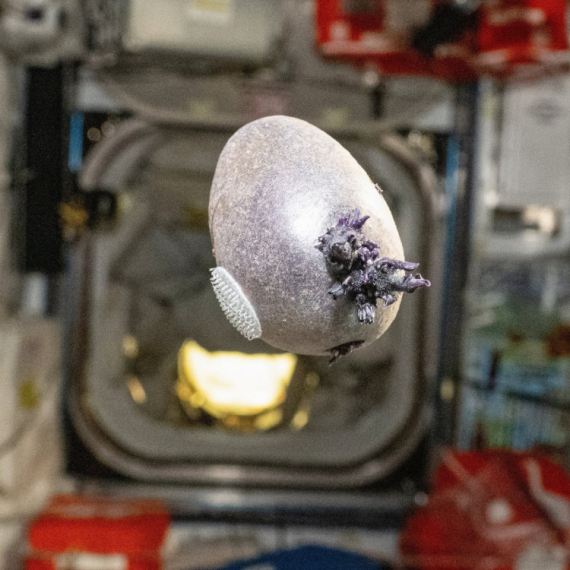 Astronaut podelio bizarne fotografije iz svemira; Društvene mreže se "usijale": "Spalite to!" FOTO