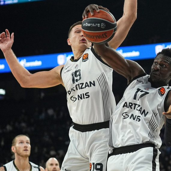Partizanov dan tuge