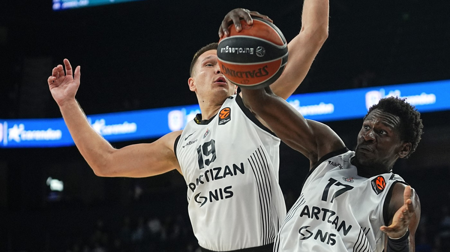 Partizanov dan tuge