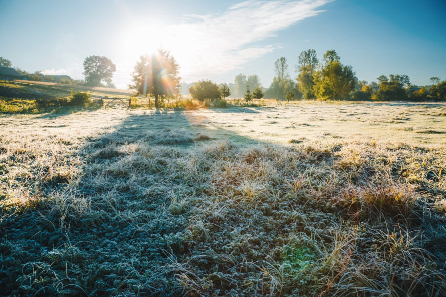 Cold spell is coming to Serbia: Prepare for worsening weather conditions, frost expected