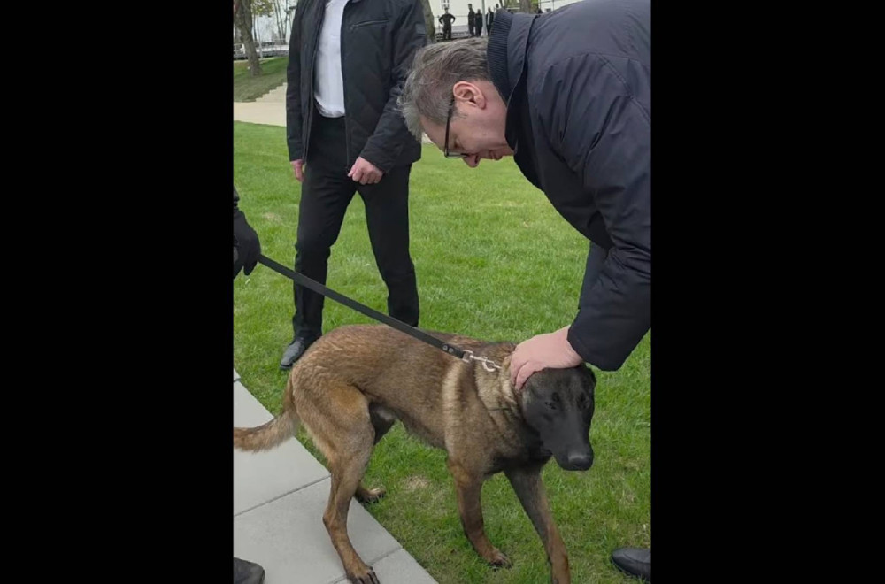 Dirljiv susret Vučića sa psom: "Milutin je takođe 'kobra'"; "Njemu eksploziv ne može da promakne" VIDEO