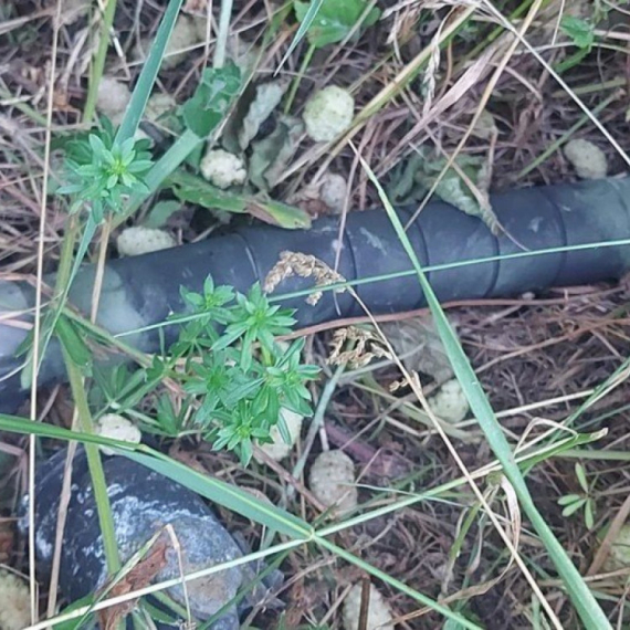 Čitav arsenal neksplodiranih sredstava u Kragujevcu: Dve ručne bombe, artiljerijski projektil i mina...