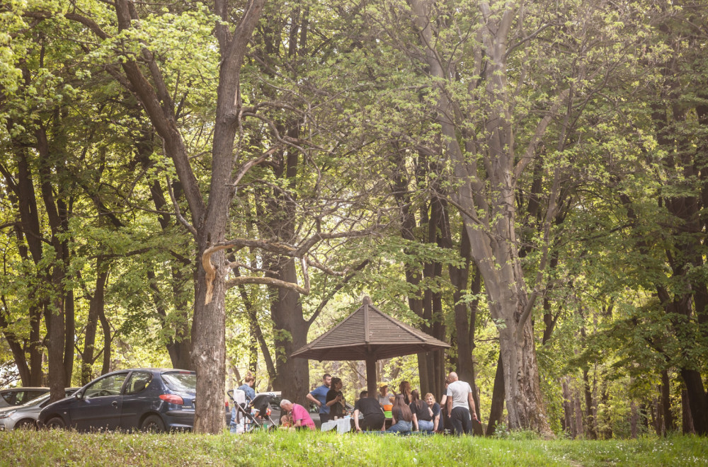 Prvi maj krije drevne tajne: Od paganskih rituala do današnjih običaja