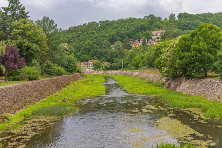 Zaječarski akovi