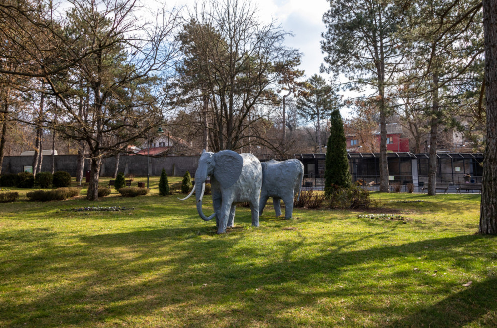 Nova mezimica jagodinskog zoo-vrta dobila ime: Stiglo na stotine predloga, izabrano najlepše VIDEO