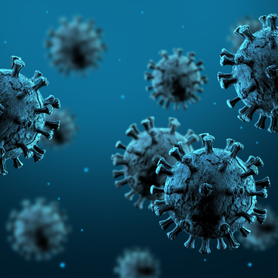 Expert warns: "There is a more severe form of the Andes hantavirus, and it has been spreading for a long time"