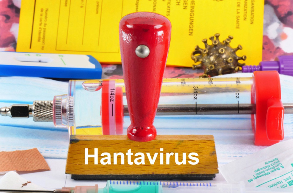 Upozorenje naučnika: Suša i padavine mogu pojačati prisustvo hantavirusa
