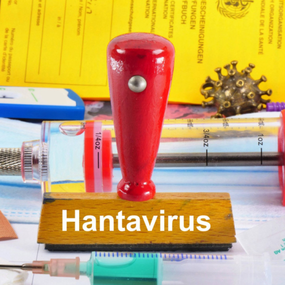 Upozorenje naučnika: Suša i padavine mogu pojačati prisustvo hantavirusa