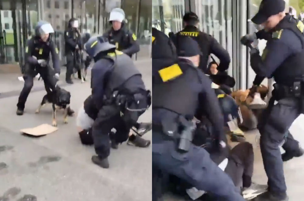 Ovako blokadere "rešava" policija u Danskoj: Tuku ih pendrecima, u sve uključen i policijski pas VIDEO