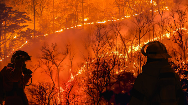 Katastrofa u Evropi; Guta ih najveći požar u istoriji FOTO