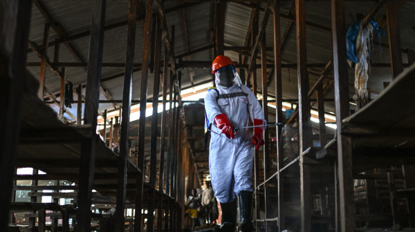 Epidemija ne jenjava: Novi slučajevi smrtonosnog virusa