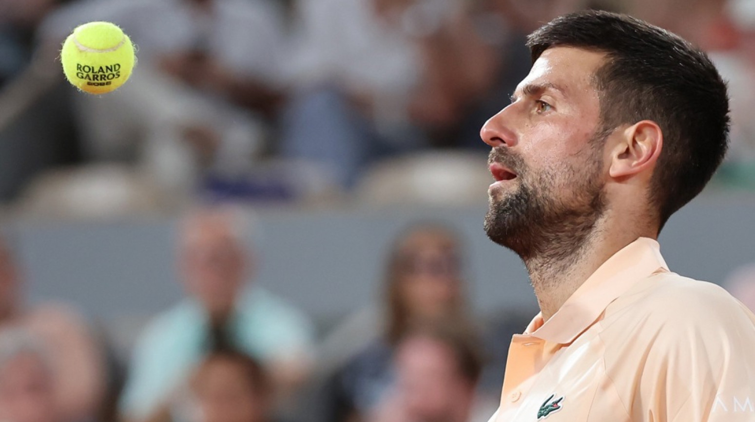 Đoković uskoro na "Šatrijeu" – opet protiv Francuza