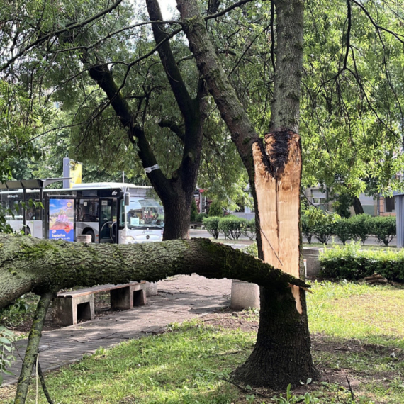 Jako nevreme pogodilo Srbiju: Olujni vetar nosi sve pred sobom; Zabeleženi dramatični prizori FOTO/VIDEO