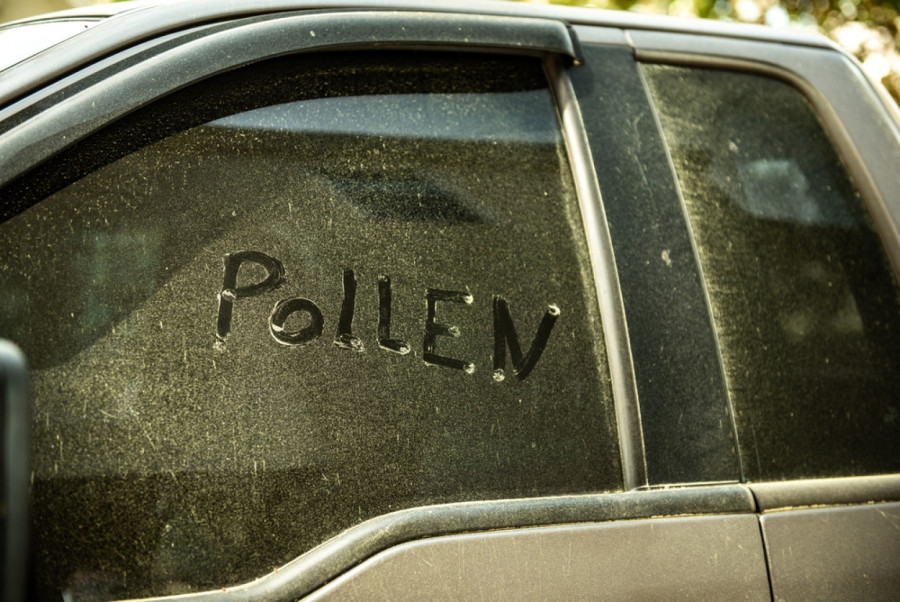 Polen uništava lak automobila:Mnogi vozači prave ovu grešku, da li ste među njima?