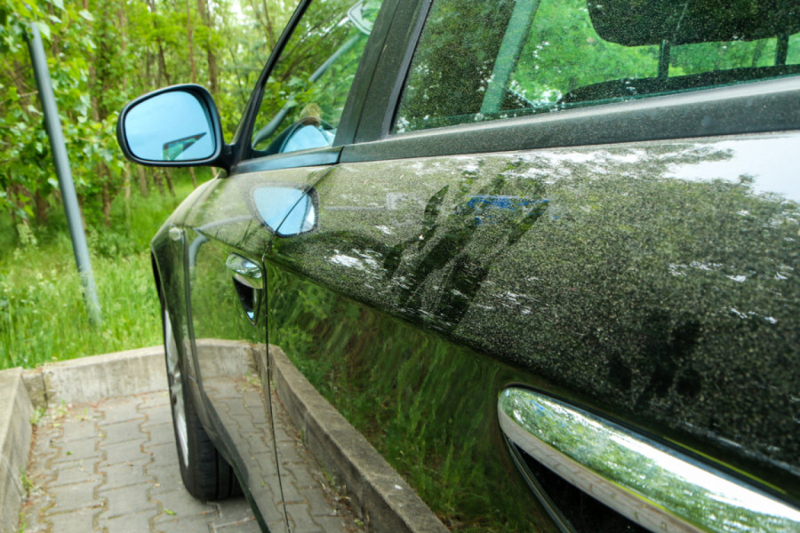 Polen uništava lak automobila:Mnogi vozači prave ovu grešku, da li ste među njima?