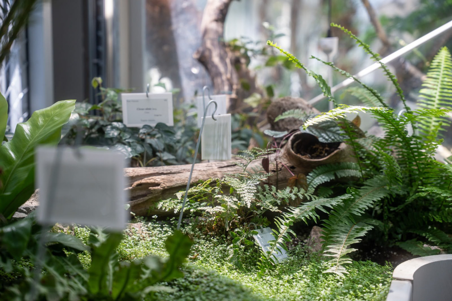 Posle više od tri decenije završava se velika priča u Jevremovcu: Niče Vizitorski centar Josif Pančić