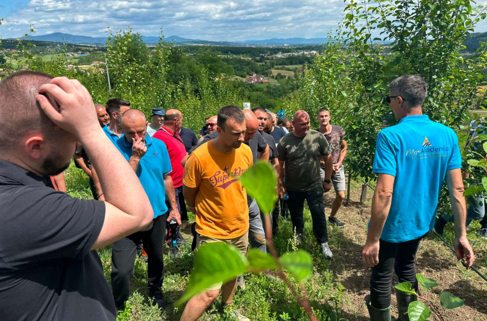 Voćari, ovo ne preskačite: Letnja rezidba čuva zasad i donosi bolji plod FOTO