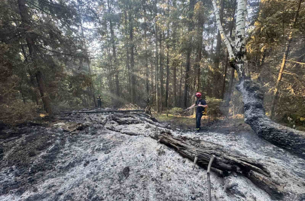 Drama na granici Srbije i Crne Gore; Vatra guta četinarsku šumu, vatrogasci vode tešku borbu FOTO
