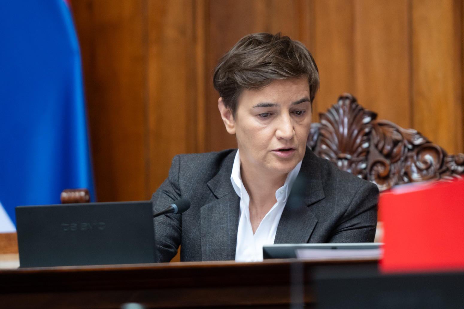 Brnabić: Opozicija želi politički rijaliti; Poslanici SNS stvoriće uslove za raspravu