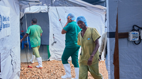 SZO se oglasila zbog epidemije smrtonosnog virusa