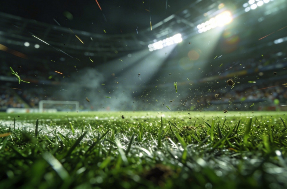 FIFA prodaje travu sa terena finala Mundijala: 450 dolara po komadu