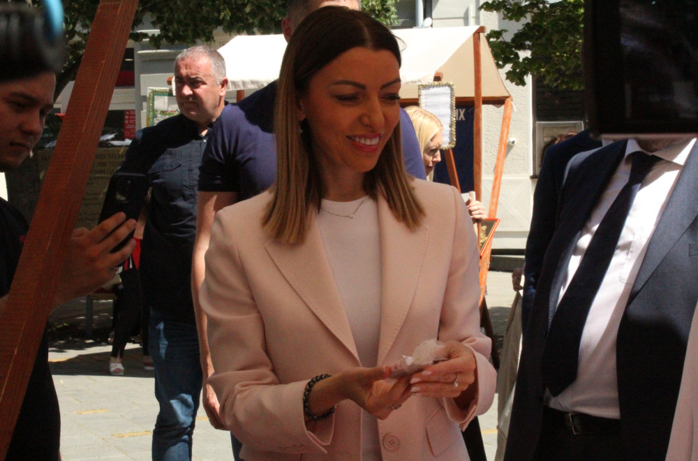Mesarović: "Srbija je danas stabilna, snažna i razvojno orijentisana država"