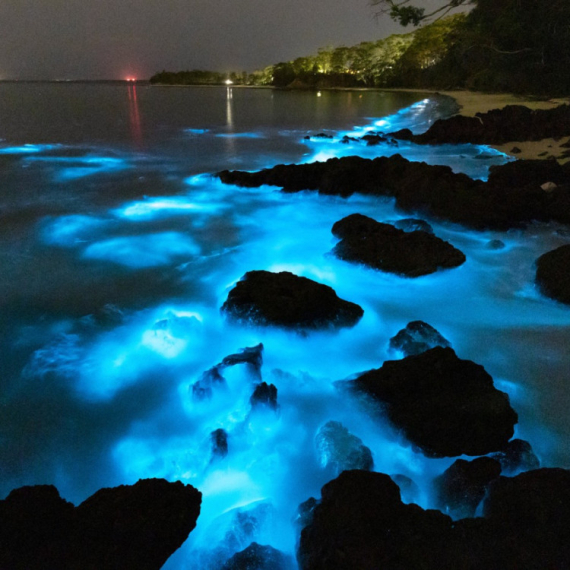 Ovo nije AI: Plaže koje svetle u mraku zaista postoje, evo gde se nalaze FOTO