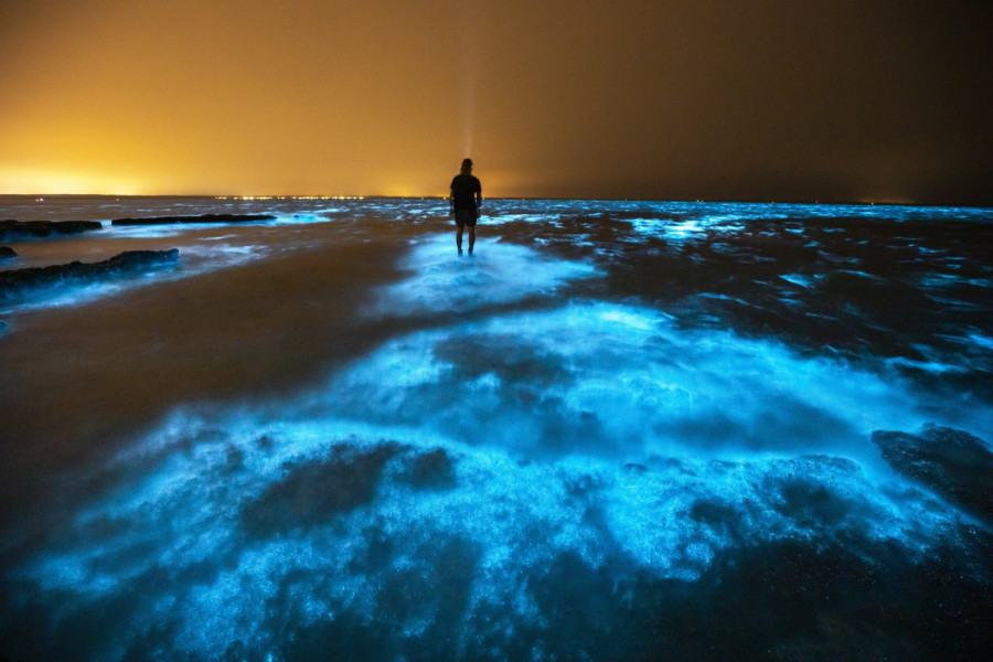 Ovo nije AI: Plaže koje svetle u mraku zaista postoje, evo gde se nalaze FOTO