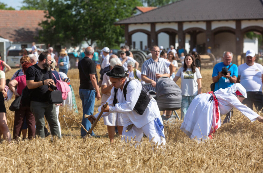 Najbolji risari pokazali umeće: Sačuvali jednu od najlepših tradicija subotičkog kraja