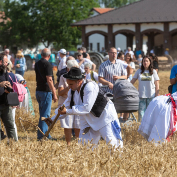 Najbolji risari pokazali umeće: Sačuvali jednu od najlepših tradicija subotičkog kraja
