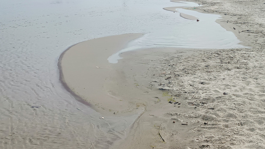 Dunav kod Novog Sada pao na minus 18 centimetara: Vide se sprudovi i delovi korita