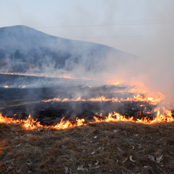 Alarmantni podaci iz Zrenjanina: Za šest meseci evidentirano čak 248 požara na otvorenom