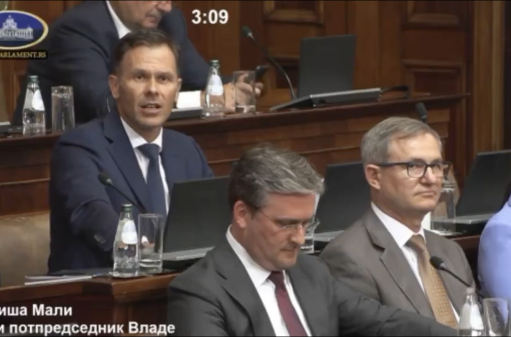 Mali u Skupštini dokrajčio Aleksića: Pokazao koruptivnu hobotnicu; "Izgubili pola miliona radnih mesta" VIDEO