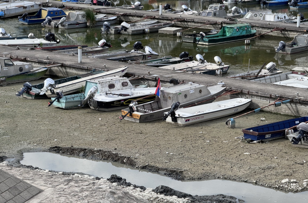 Dunav se guši: Ekstremno nizak vodostaj ugrožava biljni i životinjski svet, hidrolozi najavljuju dalji pad