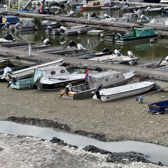 Dunav se guši: Ekstremno nizak vodostaj ugrožava biljni i životinjski svet, hidrolozi najavljuju dalji pad