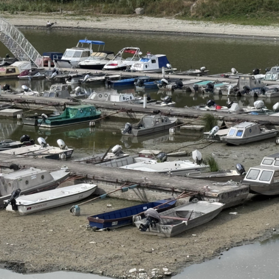 Strašni prizori sa Dunava kod Novog Sada: Čamci na suvom, pešice se ulazi duboko u korito