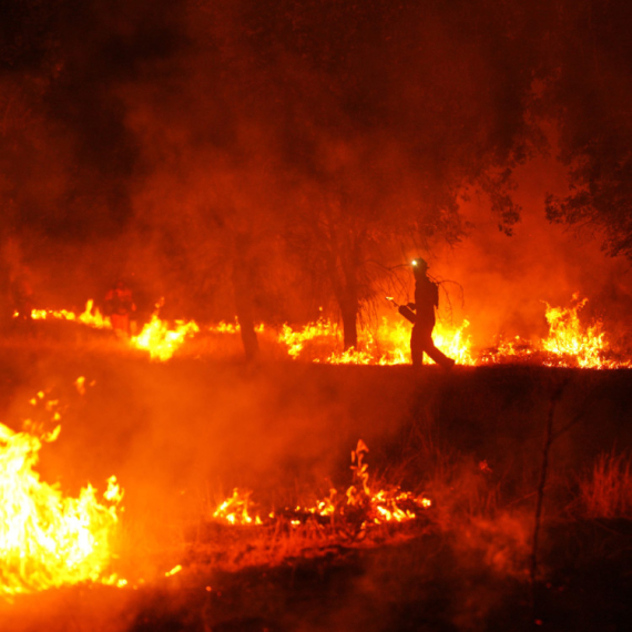 Poznat uzrok najvećeg požara u novijoj istoriji FOTO/VIDEO