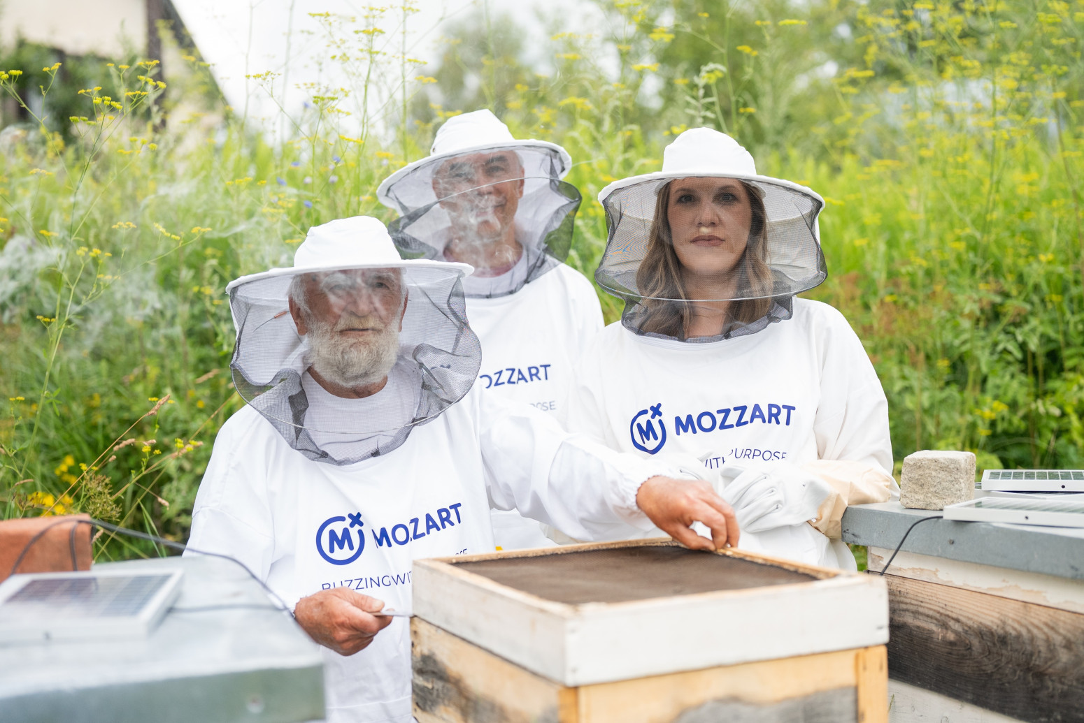 Med je lek, a ne samo hrana: Kompanija Mozzart nastavlja da čuva prirodno blago Vlasine