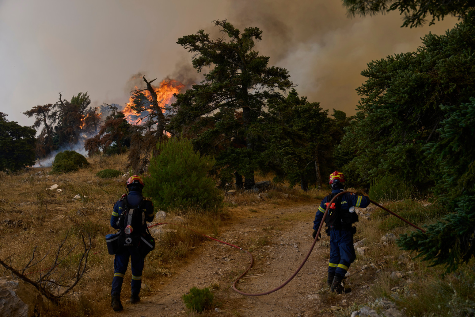 Grčka gori četvrti dan: Vatrena stihija juri ka Atini FOTO/VIDEO