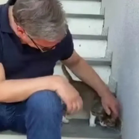 Vučić sa mačkom na kućnom pragu: "Izgleda da je i ona svratila da vidi ko je stigao" VIDEO