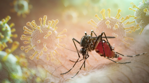 Opasan virus širi se Evropom, a za njega nema leka ni vakcine: Evo gde je najviše zaraženih