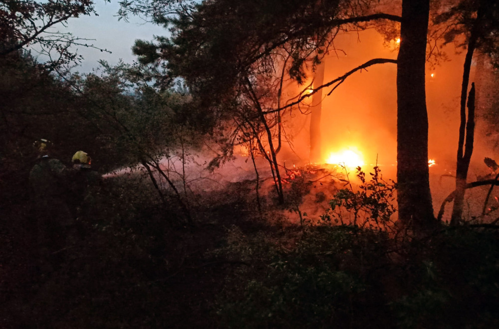 Belgrade shrouded in smoke; Apocalyptic scenes; Wildfires rage across Serbia; All units deployed PHOTO/VIDEO