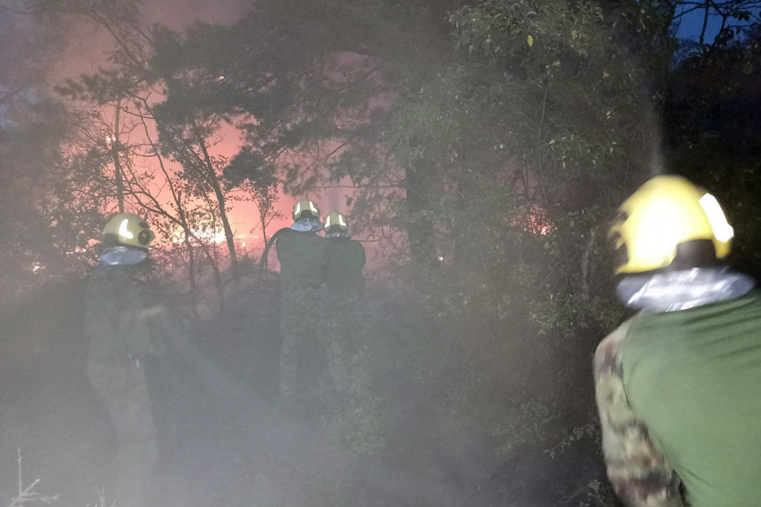 Belgrade shrouded in smoke; Apocalyptic scenes; Wildfires rage across Serbia; All units deployed PHOTO/VIDEO