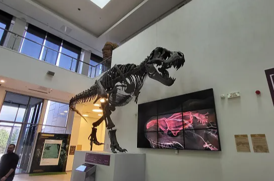 Ovo je najneobičniji "prespavanjac" u Srbiji: U Svilajncu se noćas spava sa dinosaursima