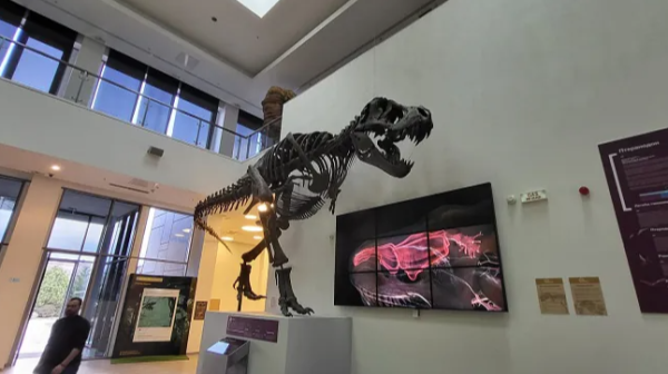 Ovo je najneobičniji "prespavanjac" u Srbiji: U Svilajncu se noćas spava sa dinosaursima