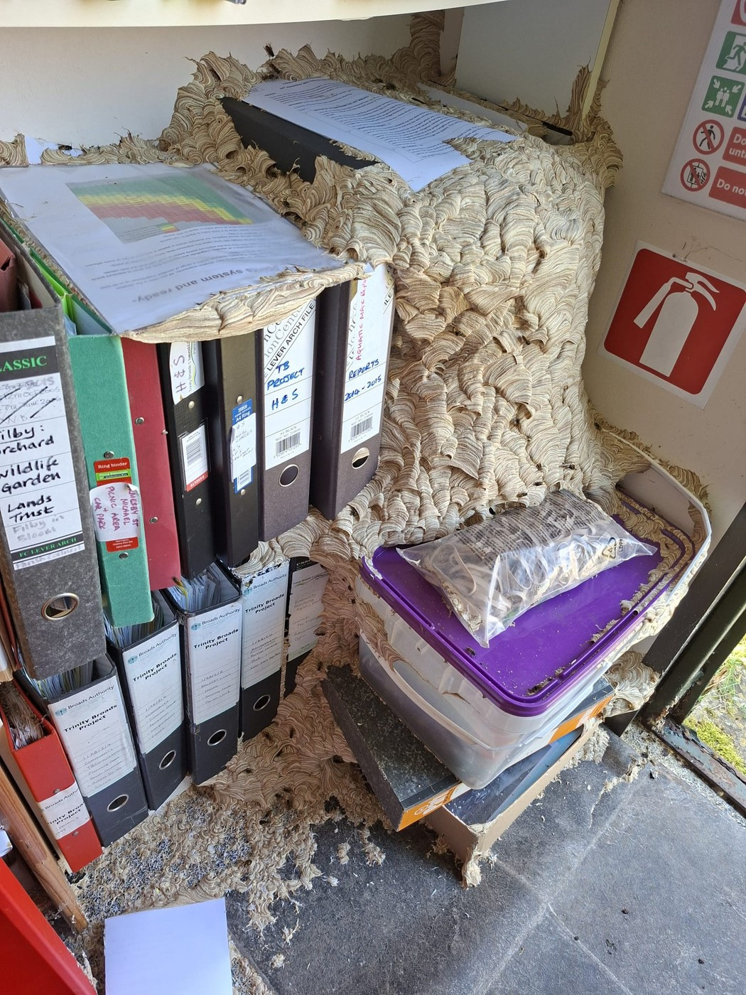 Vratila se sa odmora, pa doživela šok u kancelariji: Ovde su najmanje mesec dana FOTO