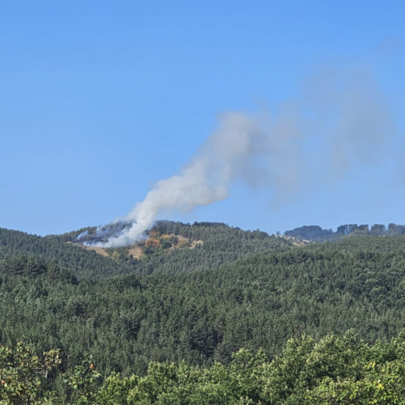 Požar u Gornjem Milanovcu; Ugroženo nekolino desetina kuća i hiljade hektara šume FOTO/VIDEO