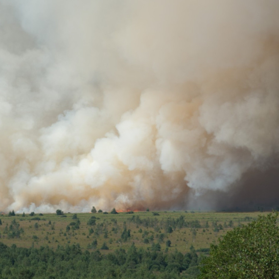 Vatra guta Belgiju; Plamen pustoši sve pred sobom; Stigao nadomak Nemačke FOTO/VIDEO