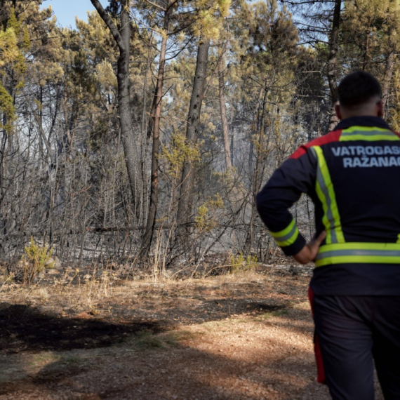 Nezvanično: Tri hrvatska državljana i jedna strankinja uhapšeni za podmetanje požara